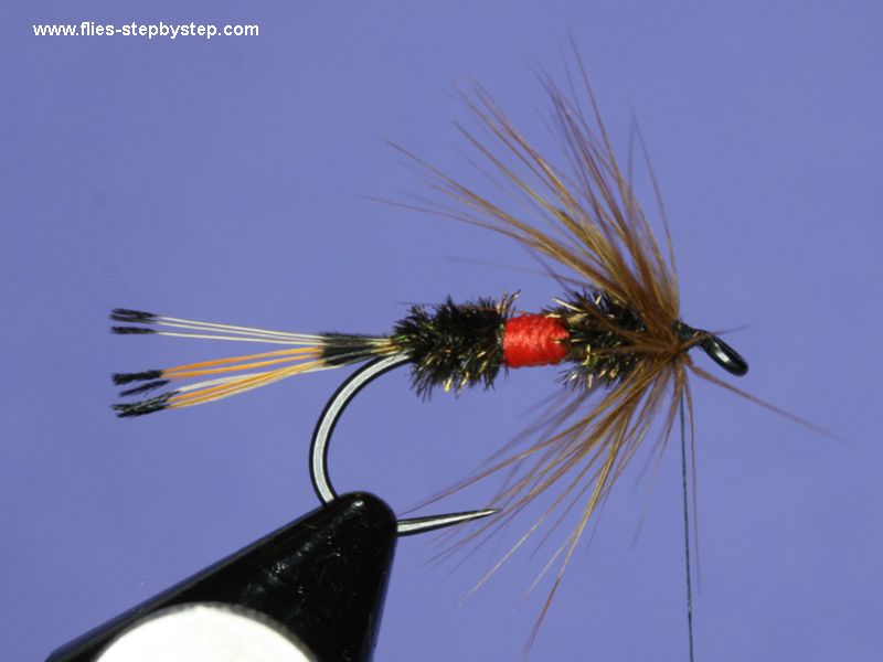 Royal Coachman classic wet fly pattern How to tie fly, Fly tying Step